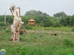 Roman Hynek, 30.07. 2010