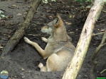 Roman Hynek, 30.07. 2010