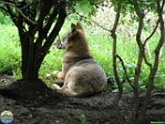 Roman Hynek, 30.07. 2010
