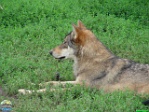 Roman Hynek, 30.07. 2010