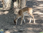 Roman Hynek, 08.08. 2017