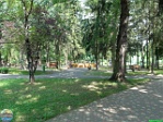 Roman Hynek, 01.08. 2010