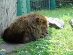Roman Hynek, 01.08. 2010