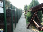 Roman Hynek, 01.08. 2010