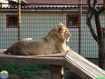 Roman Hynek, 01.08. 2010