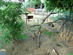 Roman Hynek, 01.08. 2010