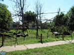 Roman Hynek, 02.08. 2010