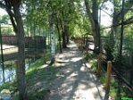 Roman Hynek, 02.08. 2010