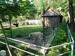 Roman Hynek, 02.08. 2010