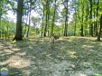 Jan Kirner, 15.07. 2017 Jan Kirner, 15.07. 2017