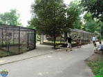 Roman Hynek, 31.07. 2010
