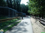 Roman Hynek, 31.07. 2010