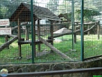 Roman Hynek, 31.07. 2010