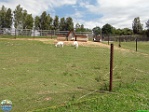 Roman Hynek, 08.07. 2018
