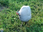 Roman Hynek, 10.07. 2018