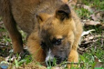 Romeo Cretu, 06.04. 2010