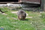 Alex Kantorovich, 28.05. 2011