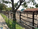 Roman Hynek, 12.08. 2017