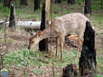 Roman Hynek, 22.05. 2012