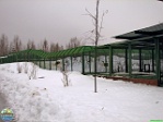 Andrei Kotkin, 12.12. 2007