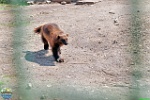 Alex Kantorovich, 05.05. 2011