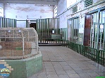 Roman Hynek, 20.03. 2006