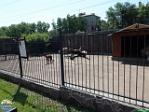 Roman Hynek, 20.05. 2012