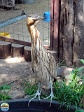 Roman Hynek, 20.05. 2012