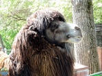 Roman Hynek, 20.05. 2012