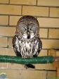 Roman Hynek, 20.05. 2012
