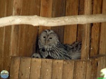 Roman Hynek, 20.05. 2012