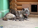 Roman Hynek, 20.05. 2012