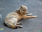 Roman Hynek, 20.05. 2012