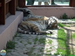 Roman Hynek, 20.05. 2012