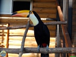 Roman Hynek, 21.05. 2012