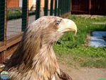 Roman Hynek, 21.05. 2012