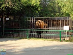 Roman Hynek, 21.05. 2012