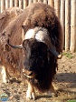 Roman Hynek, 21.05. 2012