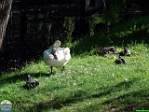 Roman Hynek, 29.05. 2011