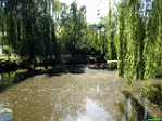 Roman Hynek, 29.05. 2011