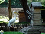 Roman Hynek, 28.05. 2011