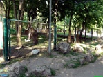 Roman Hynek, 28.05. 2011