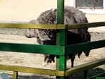 Roman Hynek, 28.05. 2011