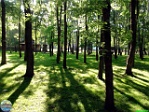 Roman Hynek, 28.05. 2011