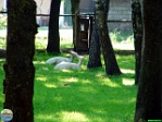 Roman Hynek, 28.05. 2011