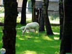 Roman Hynek, 28.05. 2011
