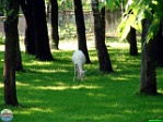 Roman Hynek, 28.05. 2011