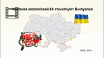 Roman Hynek, 19.02. 2011 (Video: 2 min 11 sec)