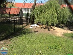 Roman Hynek, 17.05. 2009