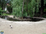 Roman Hynek, 01.06. 2011
